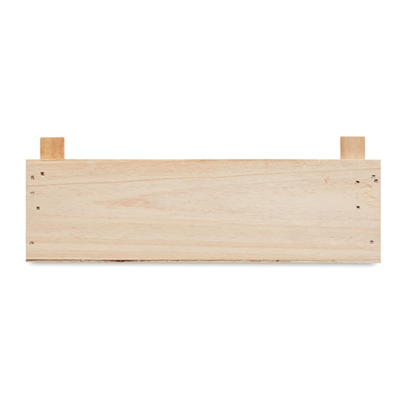 Kit de culture de fraises - image 4